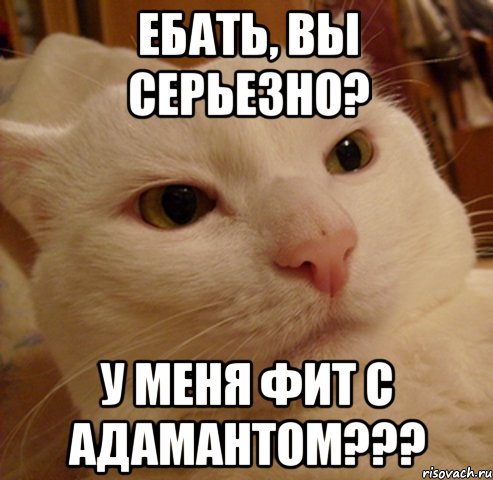 ебать, вы серьезно? у меня фит с адамантом???