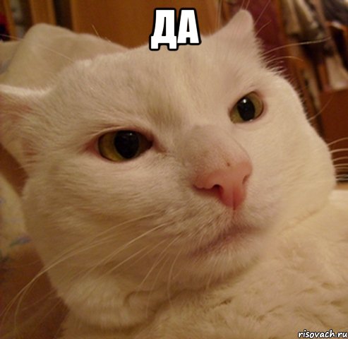 да 