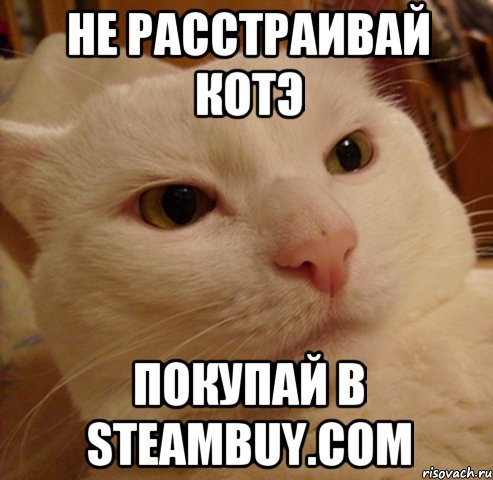 не расстраивай котэ покупай в steambuy.сом