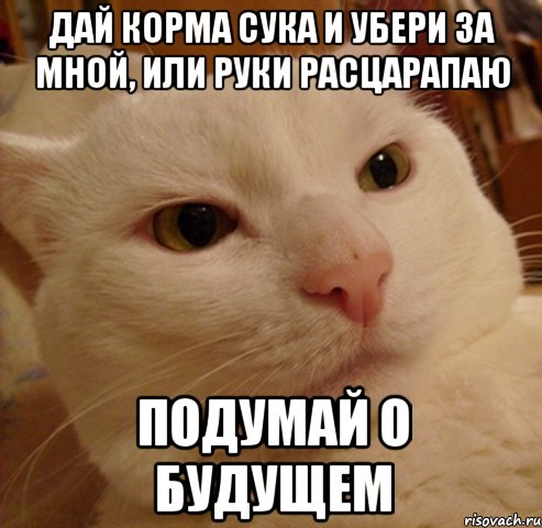 дай корма сука и убери за мной, или руки расцарапаю подумай о будущем