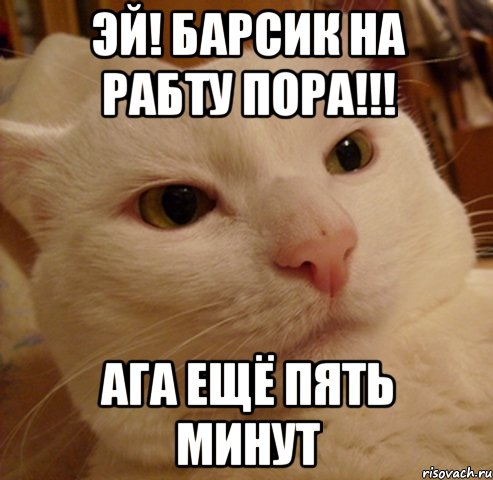 эй! барсик на рабту пора!!! ага ещё пять минут
