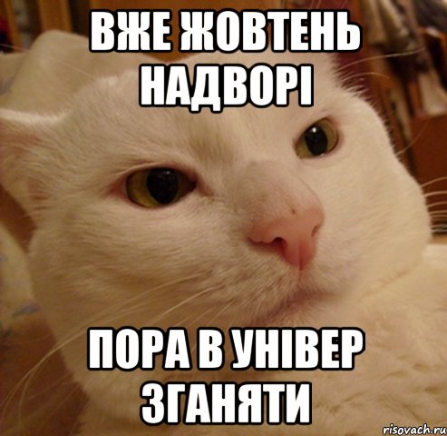 вже жовтень надворі пора в універ зганяти