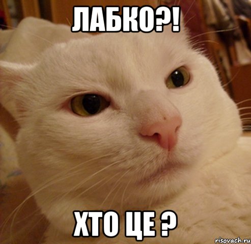 лабко?! хто це ?