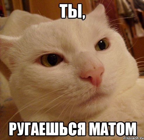 ты, ругаешься матом