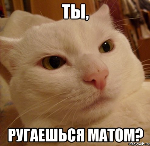 ты, ругаешься матом?