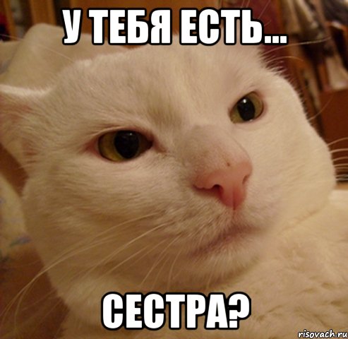 у тебя есть... сестра?