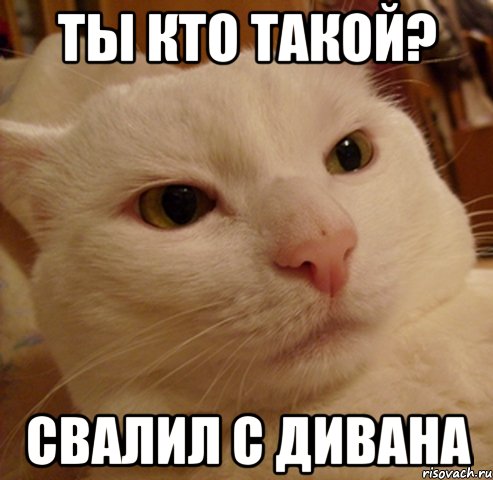 ты кто такой? свалил с дивана