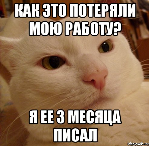 как это потеряли мою работу? я ее 3 месяца писал