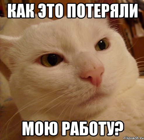 как это потеряли мою работу?