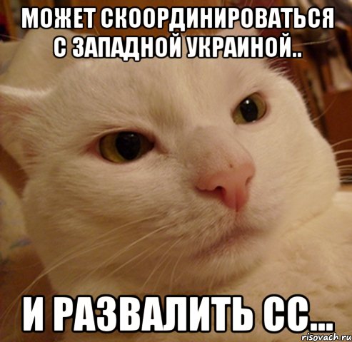 может скоординироваться с западной украиной.. и развалить сс...