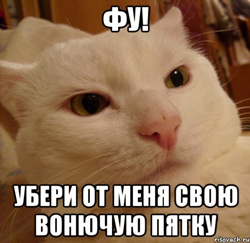 фу! убери от меня свою вонючую пятку