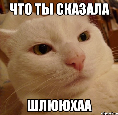 что ты сказала шлююхаа