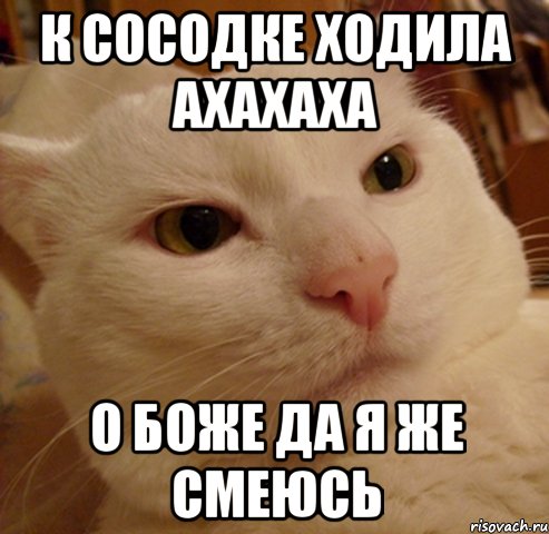 к сосодке ходила ахахаха о боже да я же смеюсь