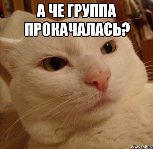 а че группа прокачалась? 