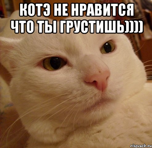 котэ не нравится что ты грустишь)))) 