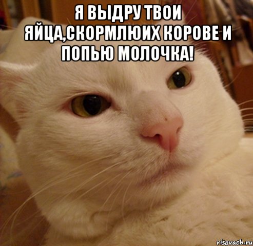 я выдру твои яйца,скормлюих корове и попью молочка! 