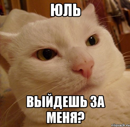 юль выйдешь за меня?
