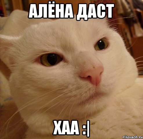 алёна даст хаа :|