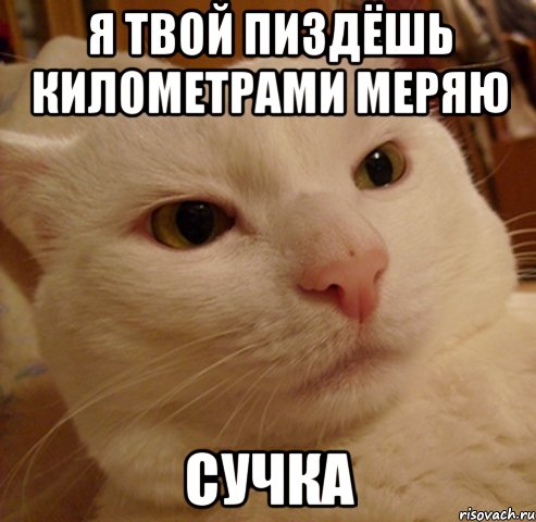 я твой пиздёшь километрами меряю сучка