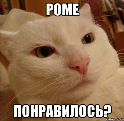 роме понравилось?