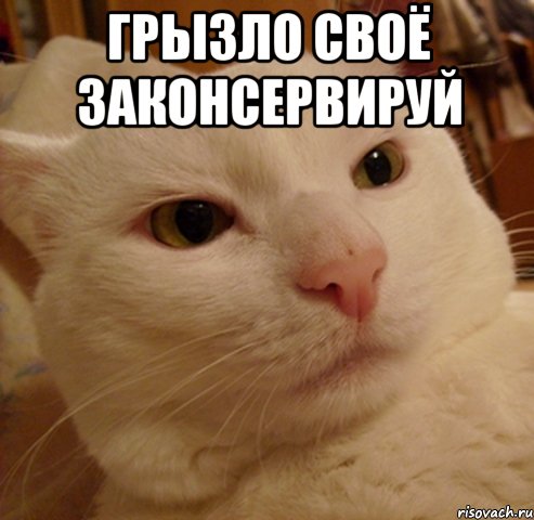 грызло своё законсервируй 