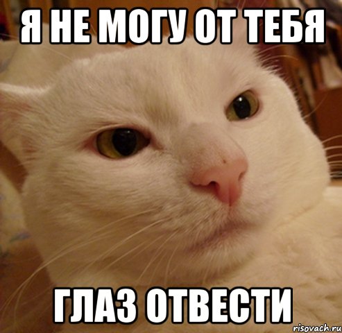 я не могу от тебя глаз отвести