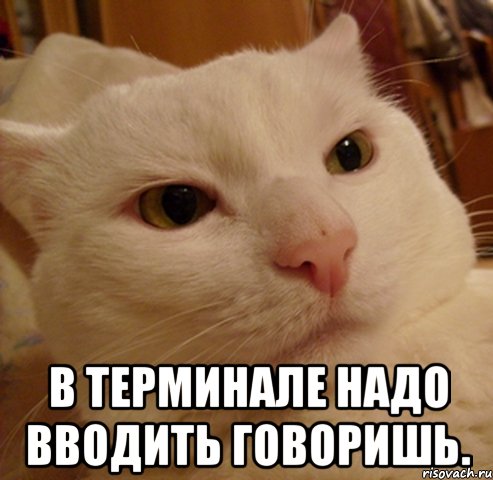  в терминале надо вводить говоришь.