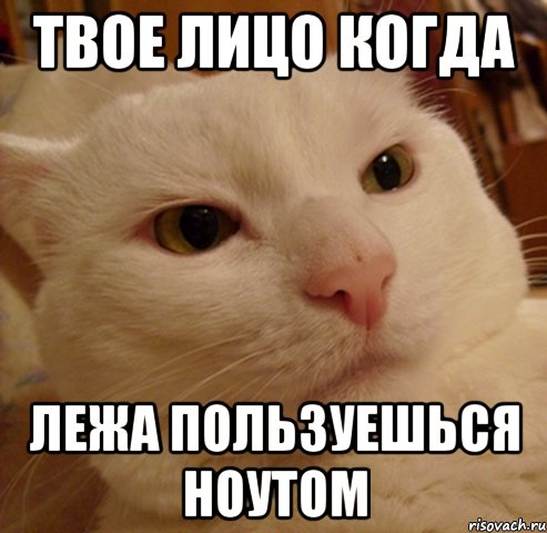 твое лицо когда лежа пользуешься ноутом