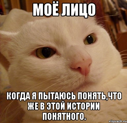 моё лицо когда я пытаюсь понять,что же в этой истории понятного.