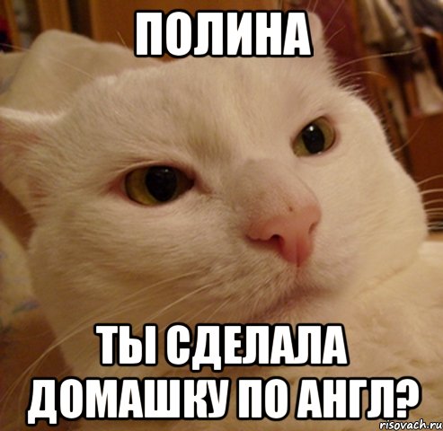 полина ты сделала домашку по англ?