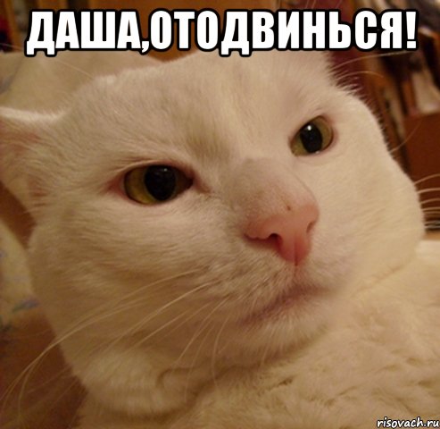 даша,отодвинься! 