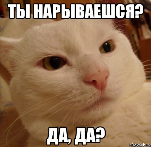 ты нарываешся? да, да?