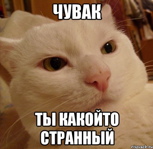 чувак ты какойто странный