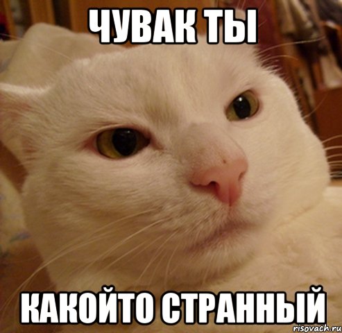 http://risovach.ru/upload/2013/10/mem/derzkij-kote_32719215_orig_.jpg
