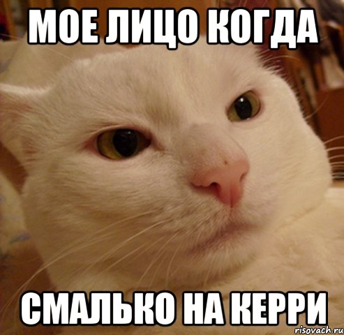 мое лицо когда смалько на керри