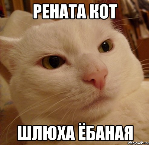 рената кот шлюха ёбаная