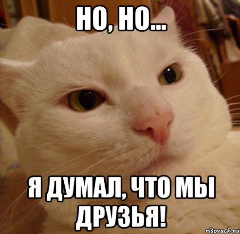 но, но... я думал, что мы друзья!