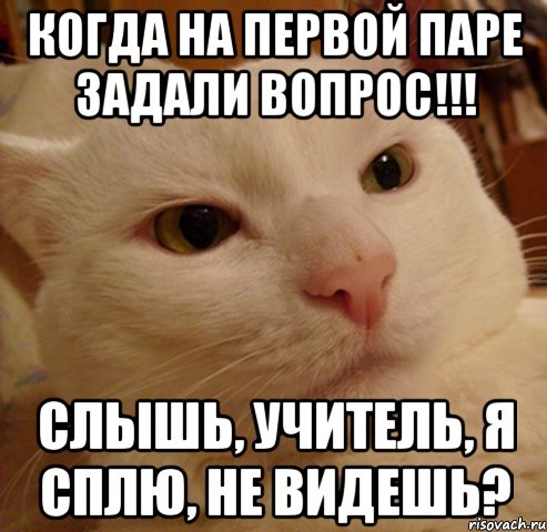 когда на первой паре задали вопрос!!! слышь, учитель, я сплю, не видешь?