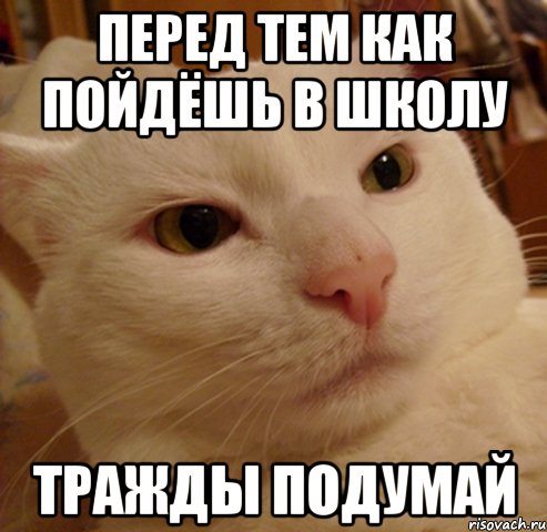 перед тем как пойдёшь в школу тражды подумай
