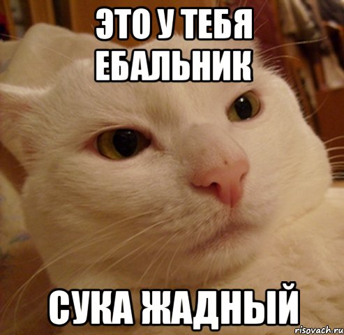 это у тебя ебальник сука жадный