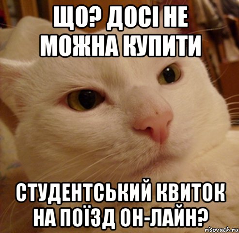 що? досі не можна купити студентський квиток на поїзд он-лайн?