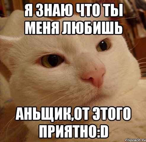 я знаю что ты меня любишь аньщик,от этого приятно:d