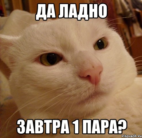 да ладно завтра 1 пара?