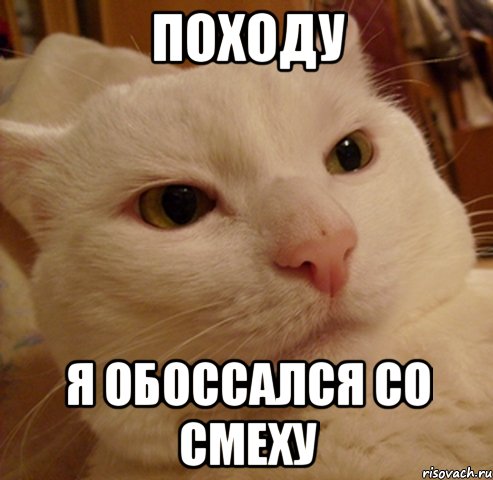 походу я обоссался со смеху