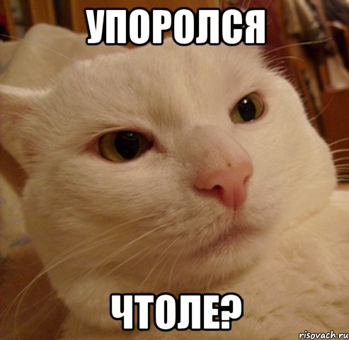 упоролся чтоле?