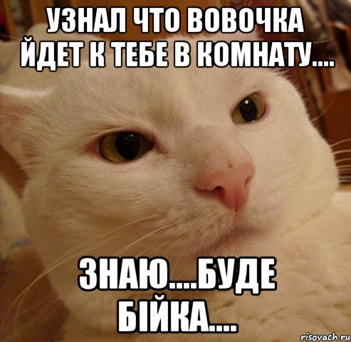 узнал что вовочка йдет к тебе в комнату.... знаю....буде бійка....