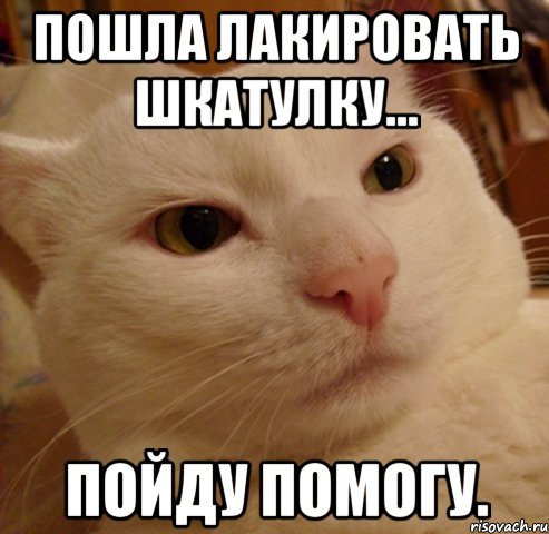 пошла лакировать шкатулку... пойду помогу.