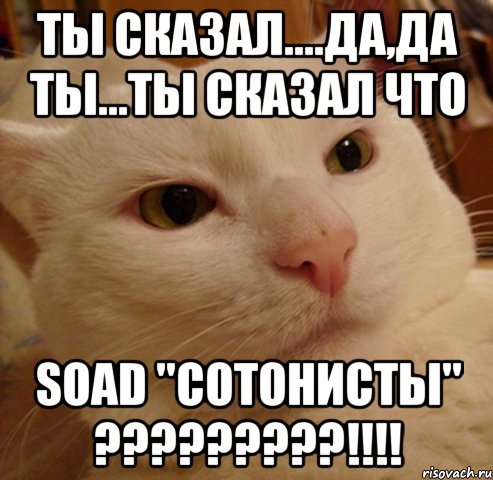 ты сказал....да,да ты...ты сказал что soad "сотонисты" ???!!!