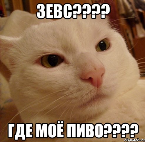 зевс??? где моё пиво???