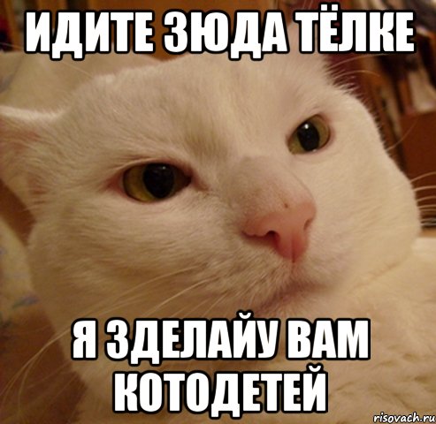 идите зюда тёлке я зделайу вам котодетей
